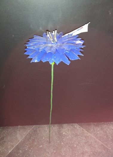 [NULL] Fleur bleue sur pic